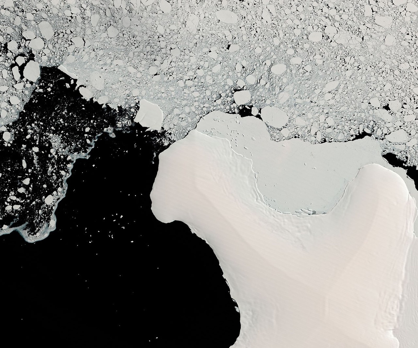 In a satellite image captured in 1989, faint brown guano stains are visible on a background of white fast ice near a cluster of icebergs. The stains are near the edge of an ice shelf to the south.