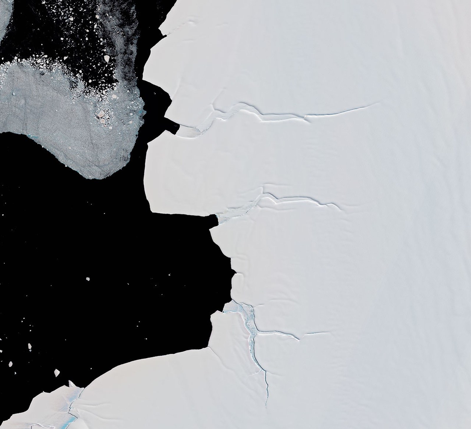 An image (left) shows a long trail of guano extending from rift ice northward to a larger guano stain on a nearby ice shelf in 2018. In 2023, brown guano stains are visible on fast ice much closer to open water, while there is no sign of the penguin colony on the ice shelf (right).
