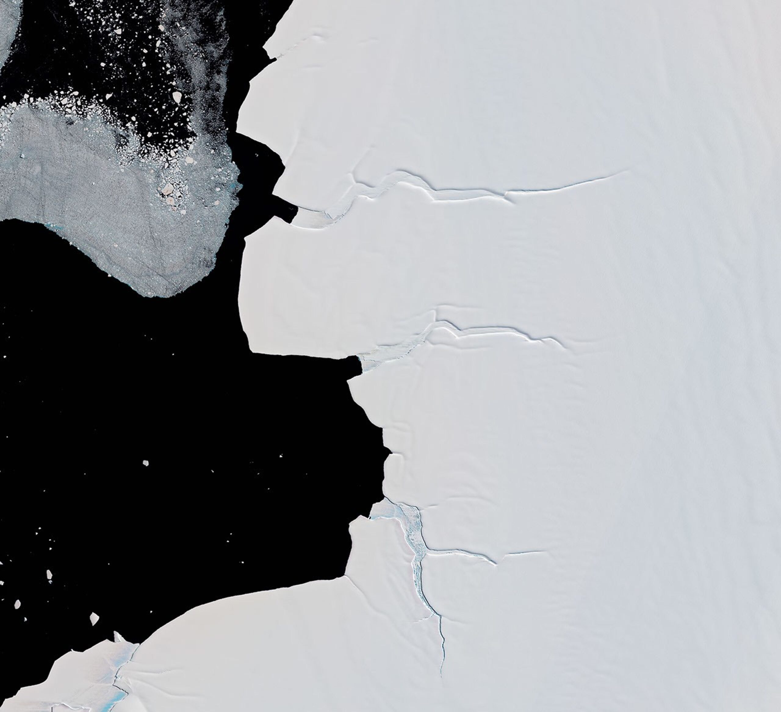 An image (left) shows a long trail of guano extending from rift ice northward to a larger guano stain on a nearby ice shelf in 2018. In 2023, brown guano stains are visible on fast ice much closer to open water, while there is no sign of the penguin colony on the ice shelf (right).