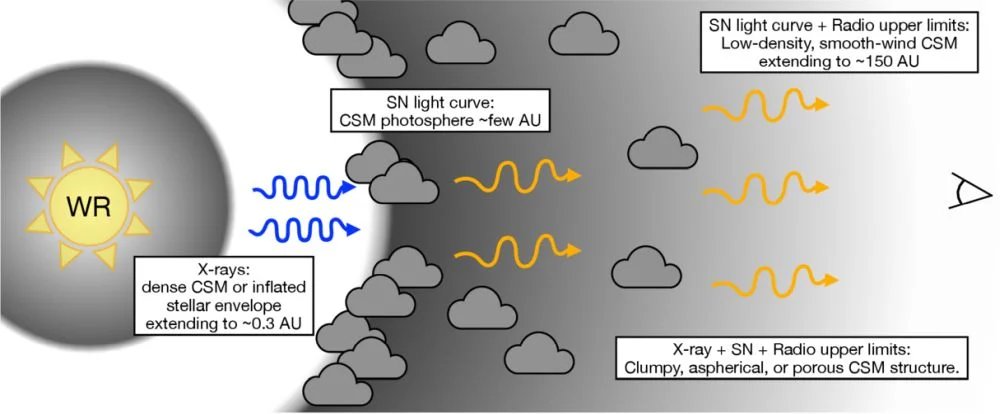 This simple drawing illustrates the WR progenitor and the two CSM shells around the supernova. "Our analysis favors two distinct regions of CSM that produce the X-ray (inner region) and SN light curve (outer region)," the authors explain. "Further, we favor an outer CSM structure that is clumpy, aspherical, porous, and/or characterized by a steep density drop outside the region probed through the SN light curve." Image Credit: Rastinejad et al. 2026. ApJL