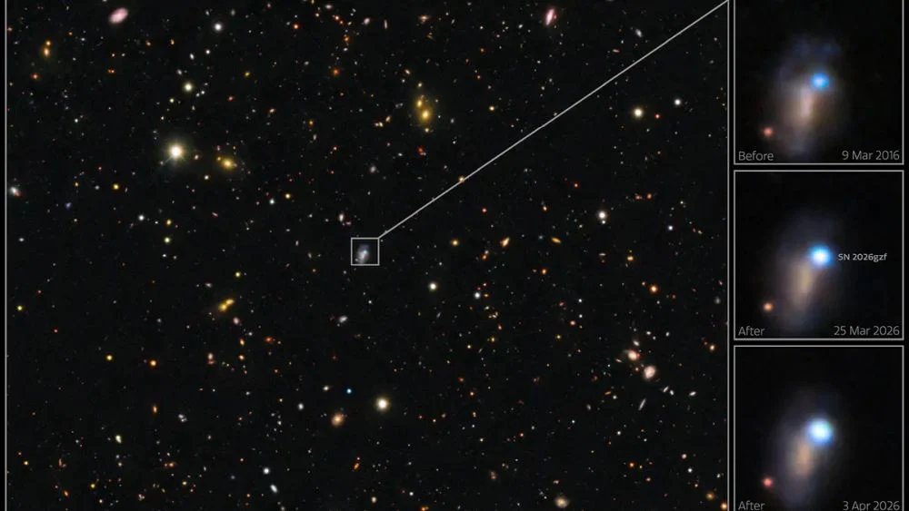 These images show how SN 2026gzf changed from early March to early April 2026. Images taken on March 25 and April 3, 2026 show the supernova brightening. An archival image of the host galaxy from March 9, 2016 reveals a bright blue source at the location of the supernova. These images were captured with the 570-megapixel DOE-fabricated Dark Energy Camera (DECam). Image Credit: CTIO/NOIRLab/DOE/NSF/AURA