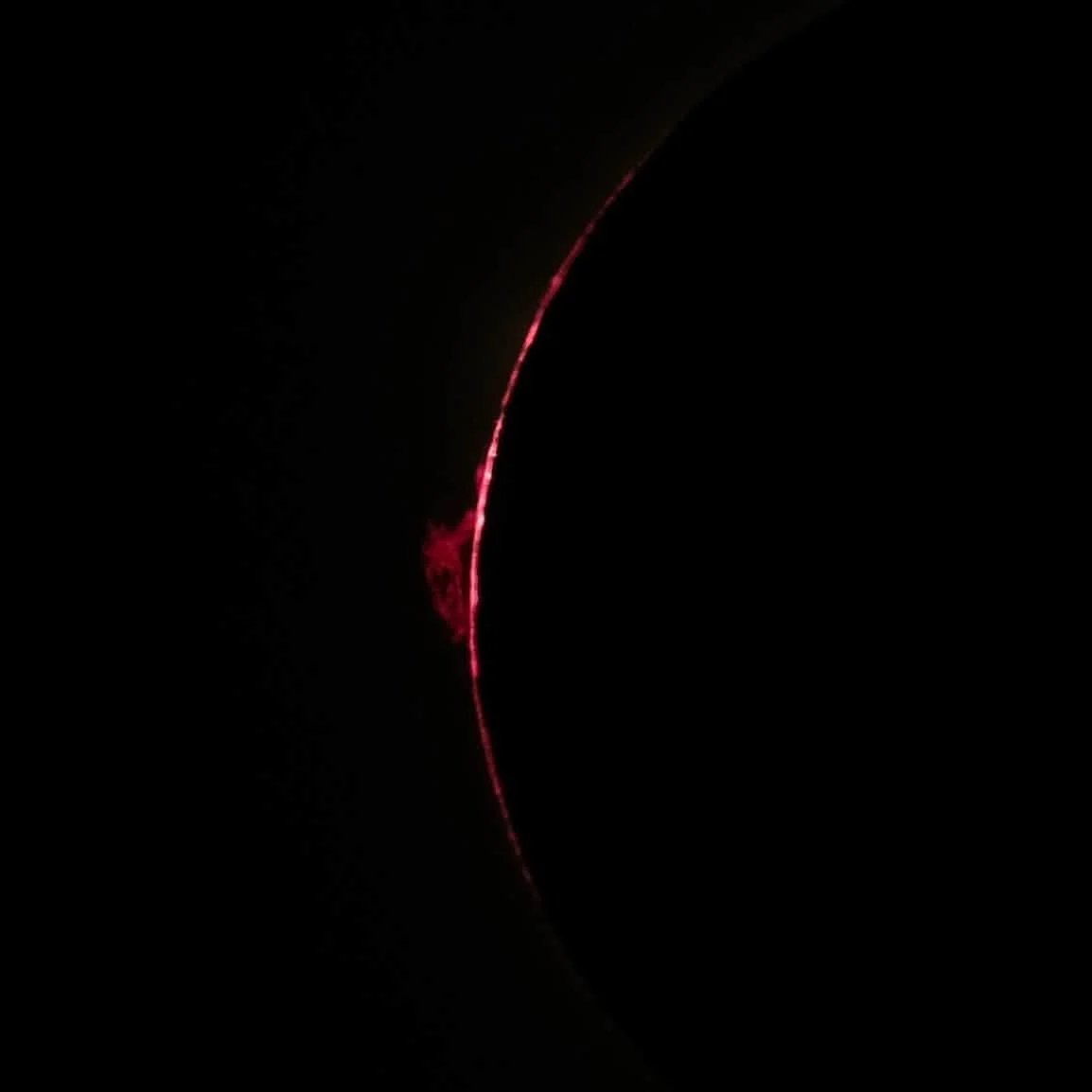 A prominence on the solar limb during totality. Credit: Chris Becke.