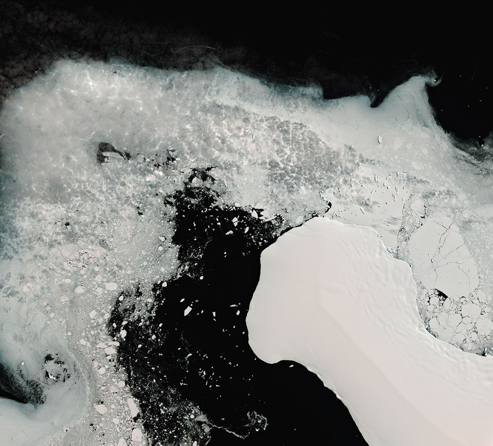 In a similar image captured in 2025, brown guano stains are still visible along the ice shelf, though the locations of icebergs.