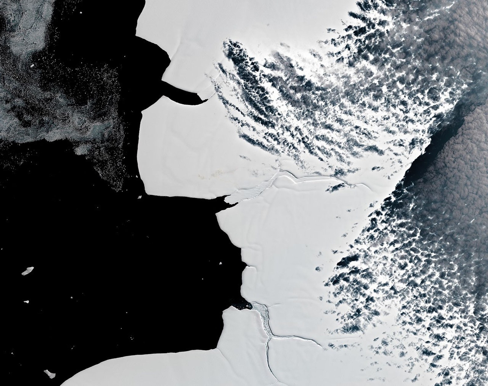 An image (left) shows a long trail of guano extending from rift ice northward to a larger guano stain on a nearby ice shelf in 2018. In 2023, brown guano stains are visible on fast ice much closer to open water, while there is no sign of the penguin colony on the ice shelf (right).