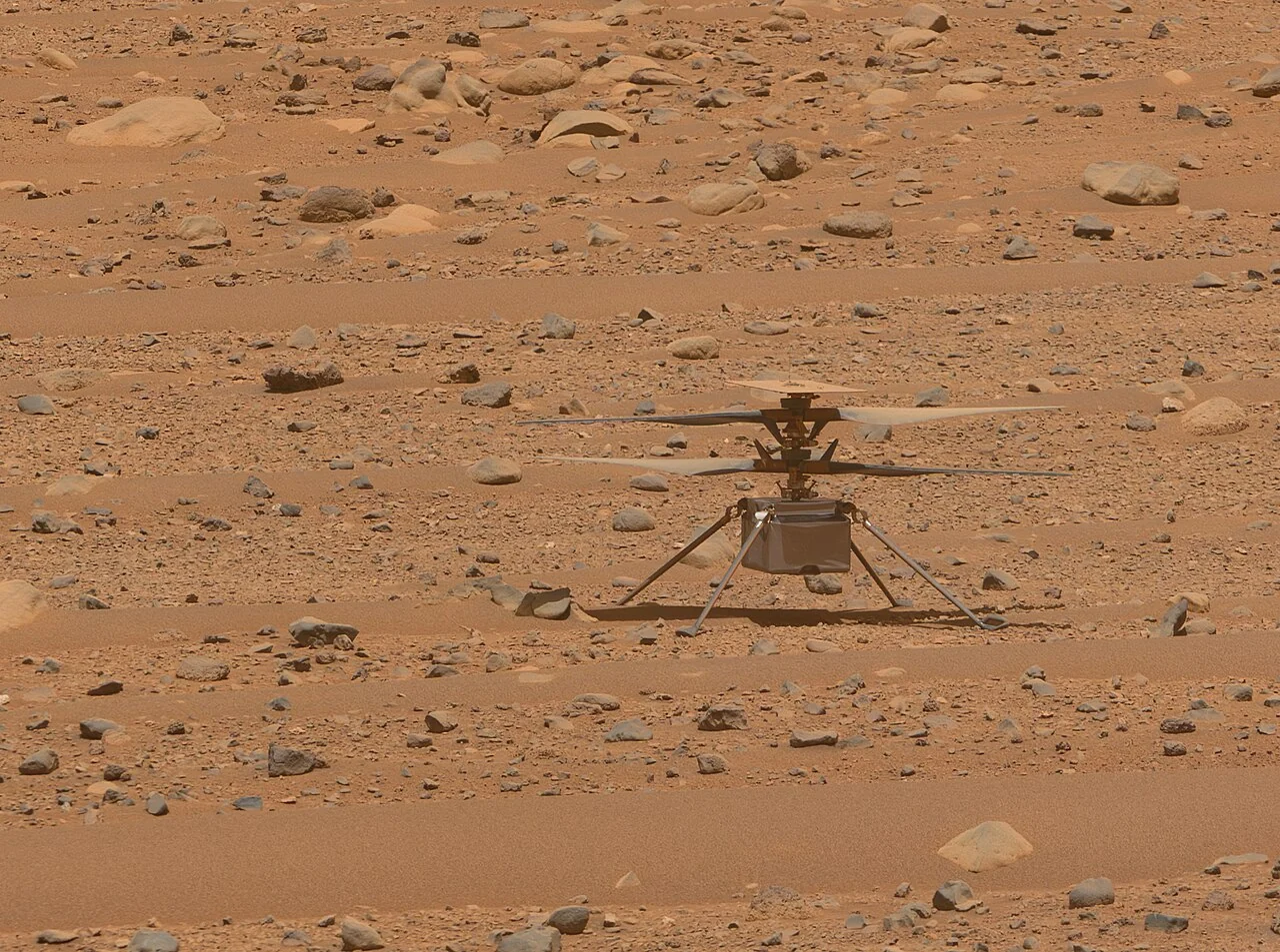 Mars Perseverance Gezgini ve Jezero Krateri Antik Nehir Deltası Jeokimyasal İncelemesi - NASA's Ingenuity helicopter on Mars by Perseverance Mastcam-Z, Sol 768 (53475637956)