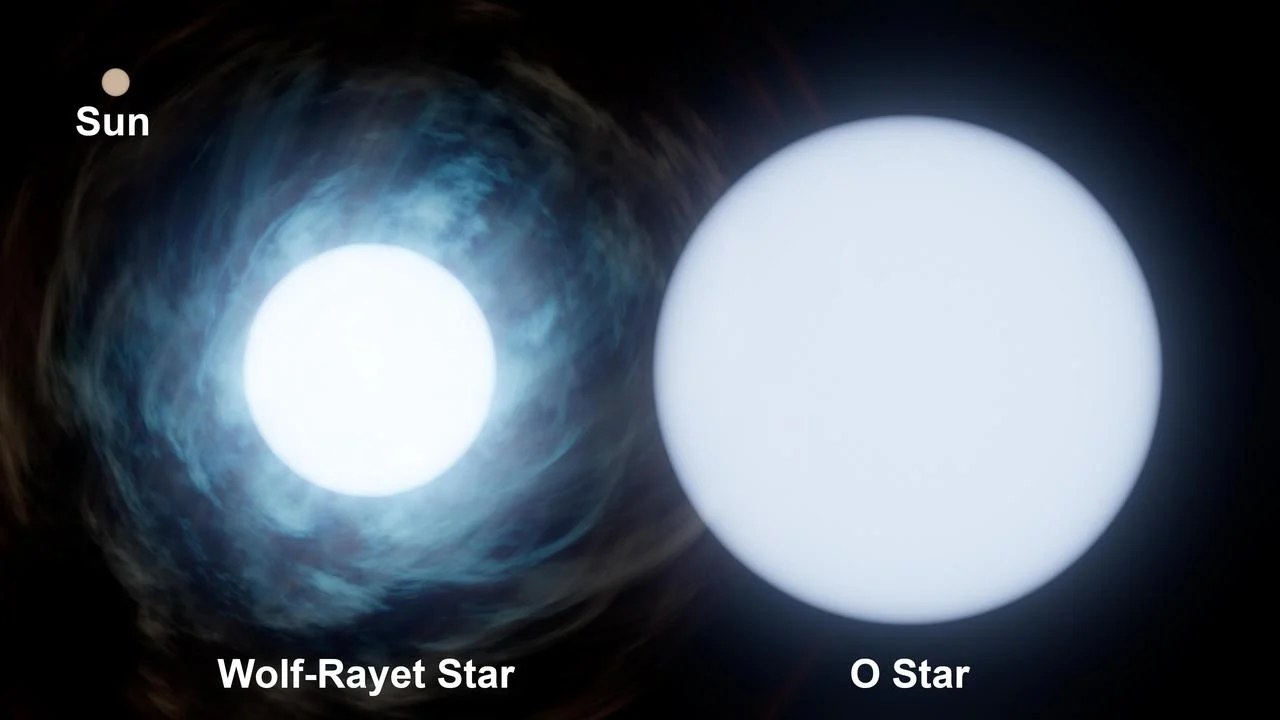 Relative size of the sun (upper left) compared to two stars in binary system Wolf-Rayet 140. O-type stars are short-lived and some of the biggest and brightest stars in the universe. Wolf-Rayet stars are O-type stars near the end of their life that release huge amounts of mass into space via stellar winds, exposing their hot, inner layers. Credit: NASA/JPL-Caltech