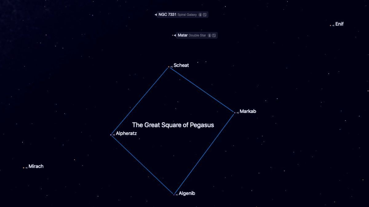 night sky graphic map showing the great square of pegasus