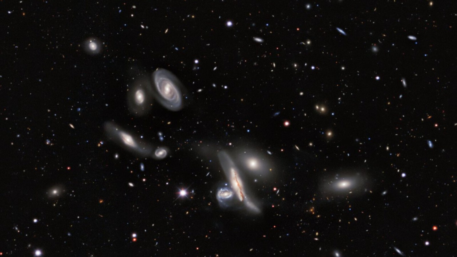 A dark sky speckled with lots of glowing dots. in the foreground, a bunch of hazy blobs of different shapes and sizes.