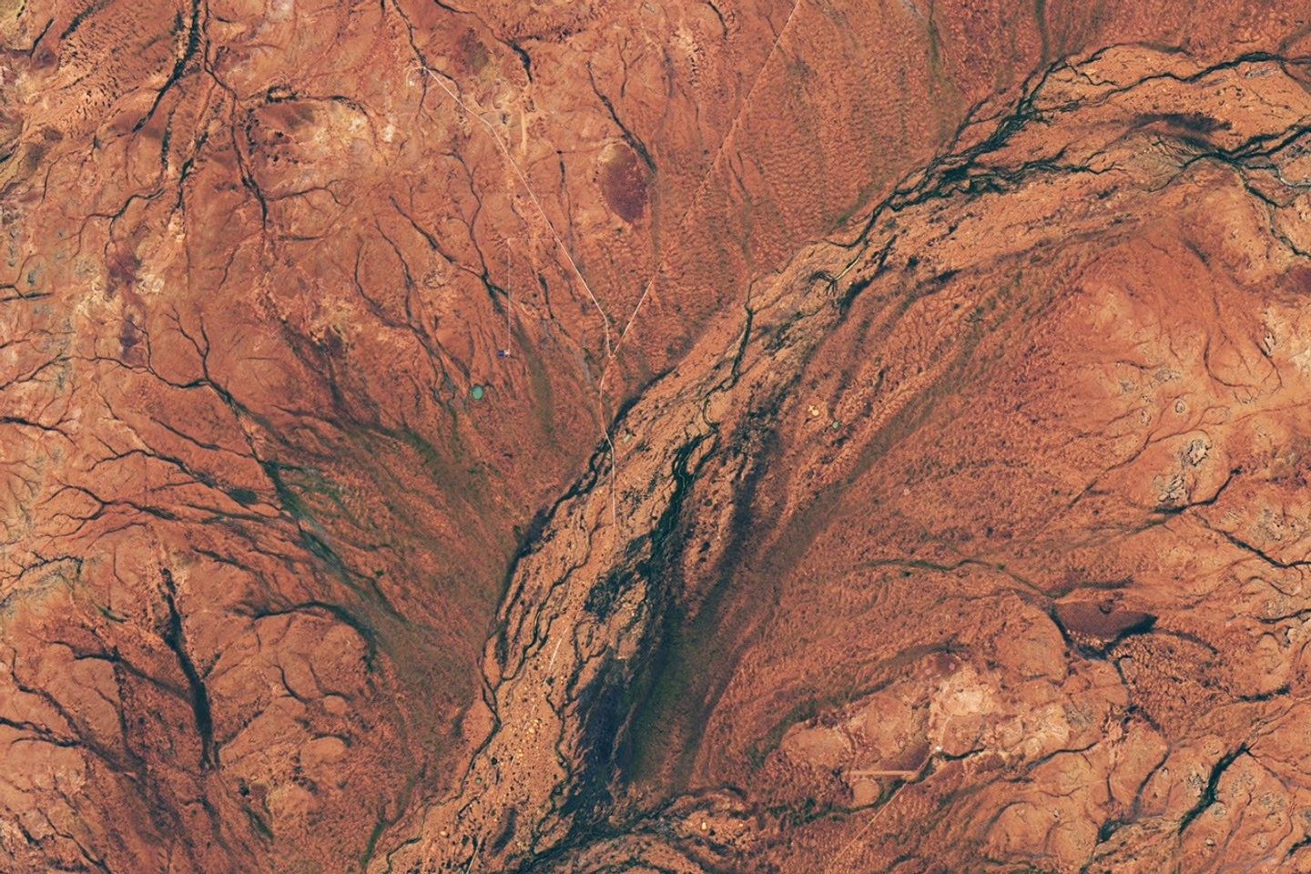 Land in the Western Australian outback appears mostly rusty orange but contains areas of green, especially in riverbeds.