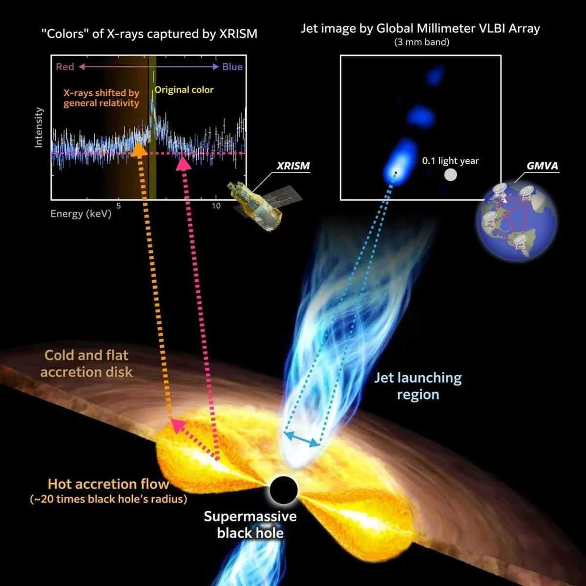 This figure illustrates the new findings. At the top left, XRISM accurately measured the "color" of X-rays from the vicinity of the black hole. The wavelengths are stretched, and general relativity changes their colors. An image of the jet obtained by the Global Millimeter VLBI Array at a wavelength of 3 mm is shown at the top right. The bottom is an artist's impression of the environment around a rapidly feeding supermassive black hole. The cold, flat accretion disk truncates at roughly 20 times the black hole's radius, transitioning into a hot accretion flow inside of which the jet is launched. Image Credit: ©Tohoku University