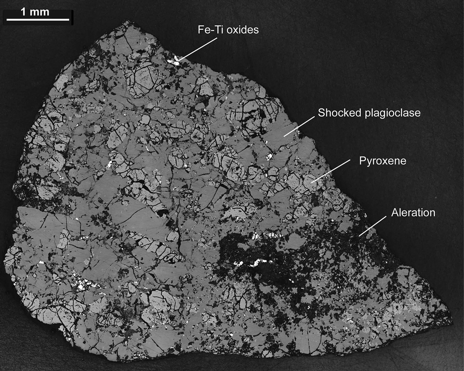 Slice of Martian Meteorite Teghaza 001