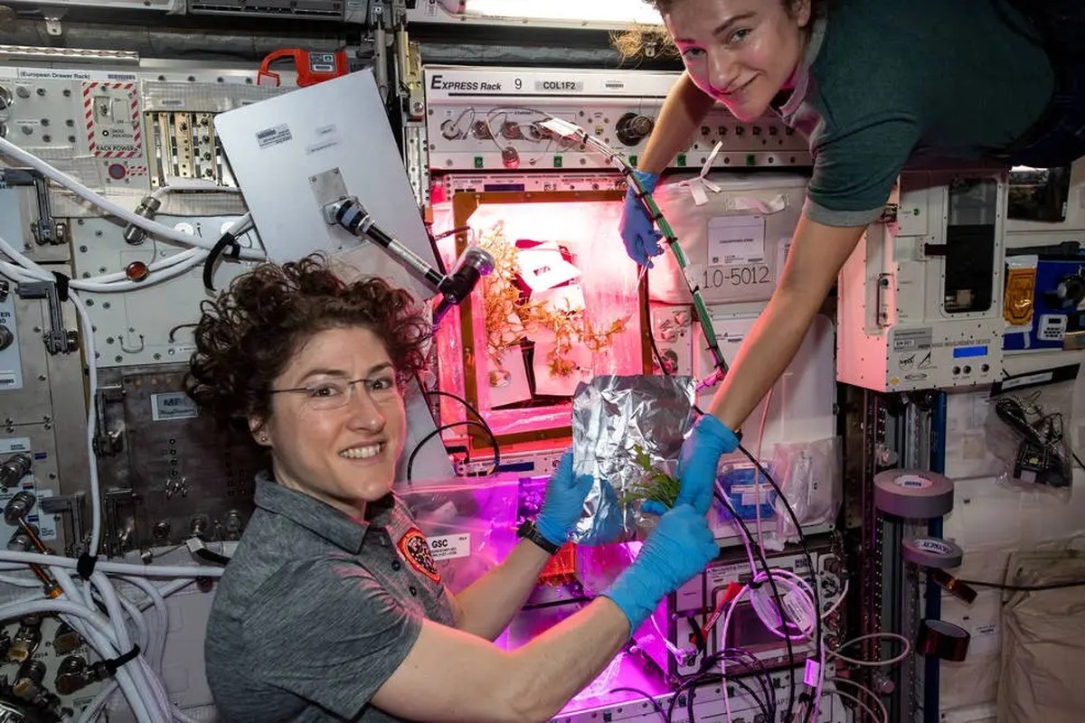 NASA'dan Geleceğin Isı Kalkanı Teknolojileri İçin Büyük Adım