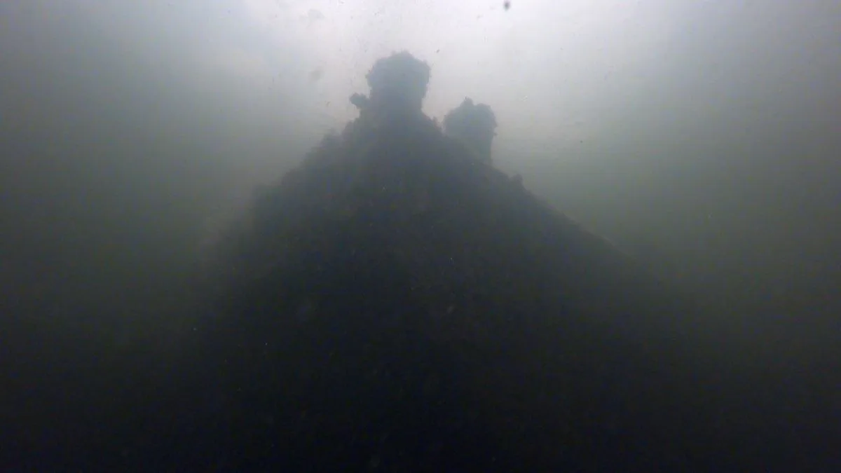 murky underwater photo showing a shadowy structure that rises almost to the surface