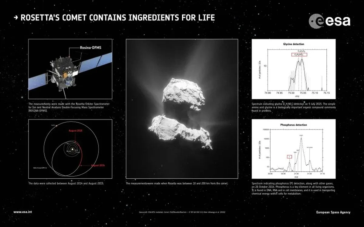 The ESA's Rosetta mission, which included the Philae Lander, visited the comet 67P/Churyumov–Gerasimenko in 2014 and detected glycine, an amino acid, and phosphorous, an organic chemical. Phosphorous is an important element in all living things, and is a critical part of DNA and RNA. These findings helped generate the idea that comets played a role in seeding the early Earth with the chemistry necessary for life. Image Credit: Spacecraft: ESA/ATG medialab; Comet: ESA/Rosetta/NavCam – CC BY-SA IGO 3.0; data: Altwegg et al. (2016). LICENCE: ESA Standard Licence