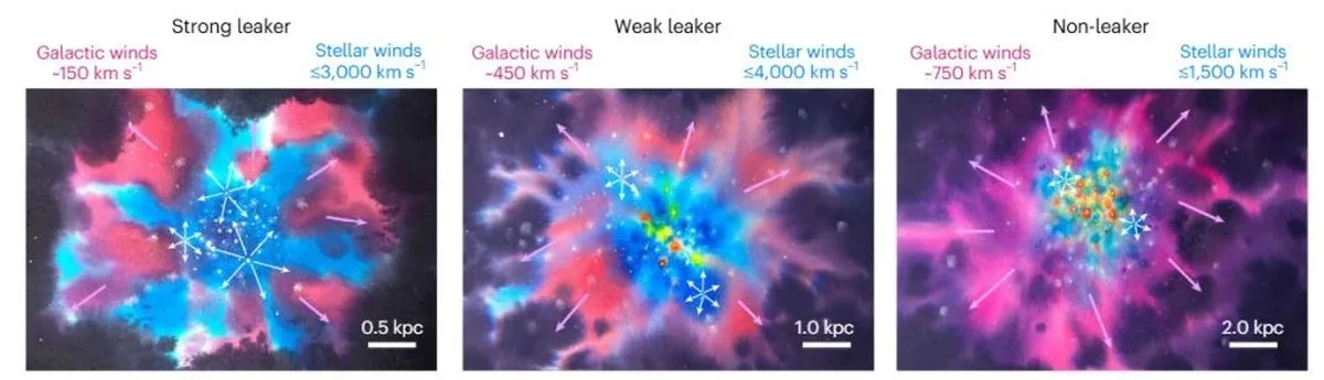 These panels show an artist's illustration of the evolution of stellar feedback in compact, star-forming galaxies. Red regions show the multiphase wind, where the gas spans several temperatures and ionization states; the lighter shades show less dense gas. At first, intense radiation and rapid stellar winds drive a slow galactic outflow that clears gas and dust. Gas clumping and strong ionizing feedback drive rapid LyC escape. As supernovae begin exploding, they drive neutral mass and dust into the galaxy's ISM, which lowers average LyC escape, despite carving out low density channels for LyC to escape. Later, large-scale winds driven by supernovae inhibit LyC escape. Image Credit: Carr, C., Cen, R., McCandliss, S. et al. Lyman continuum escape during the onset of galactic winds in compact starbursts. Nat Astron (2026).