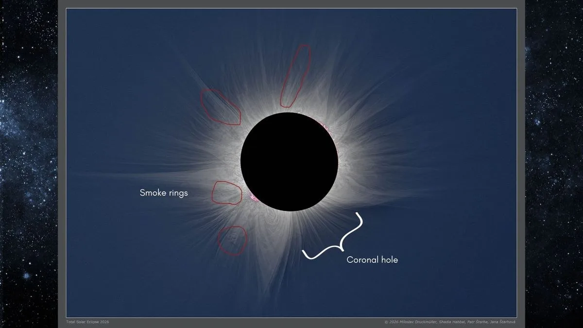 close up view of a total solar eclipse showing large white streamers streaking out from the sun, this is the sun's corona.