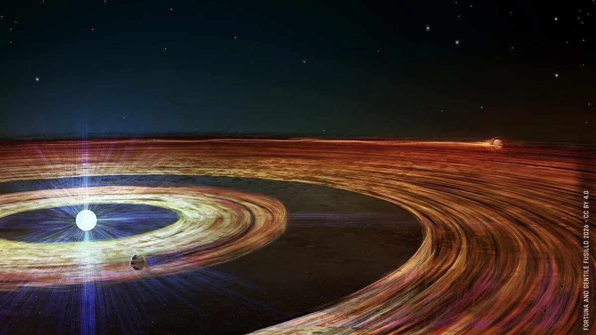 Concentric brown rings with a large gap between the outer and inner rings