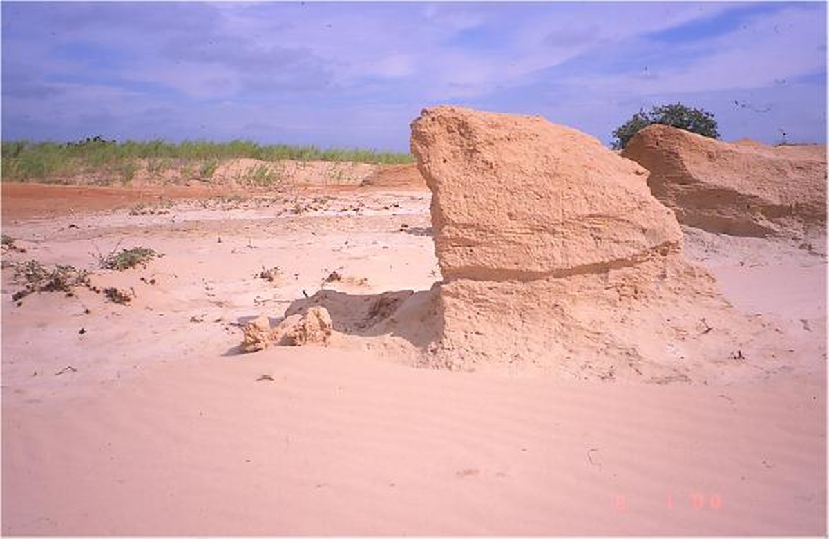A yardang on Earth in Yoakum Dunes, Texas. Credit: USGS/Public Domain