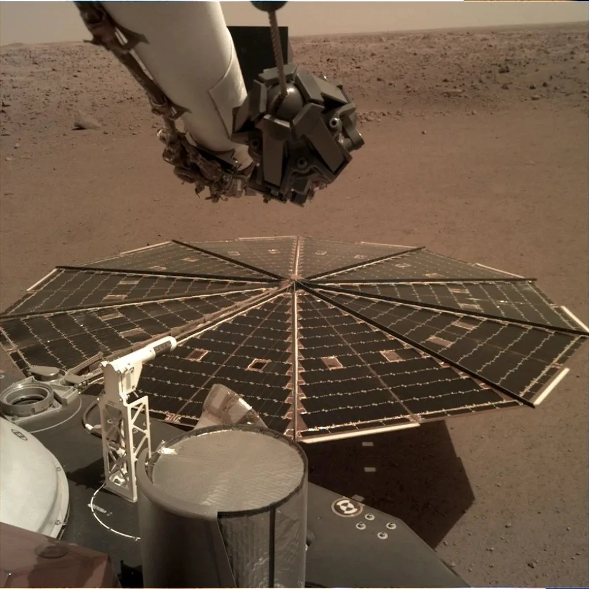 One of two of Mars InSight's 7-foot (2.2 meters) wide solar panels was imaged by the lander's Instrument Deployment Camera. Credits: NASA/JPL-Caltech