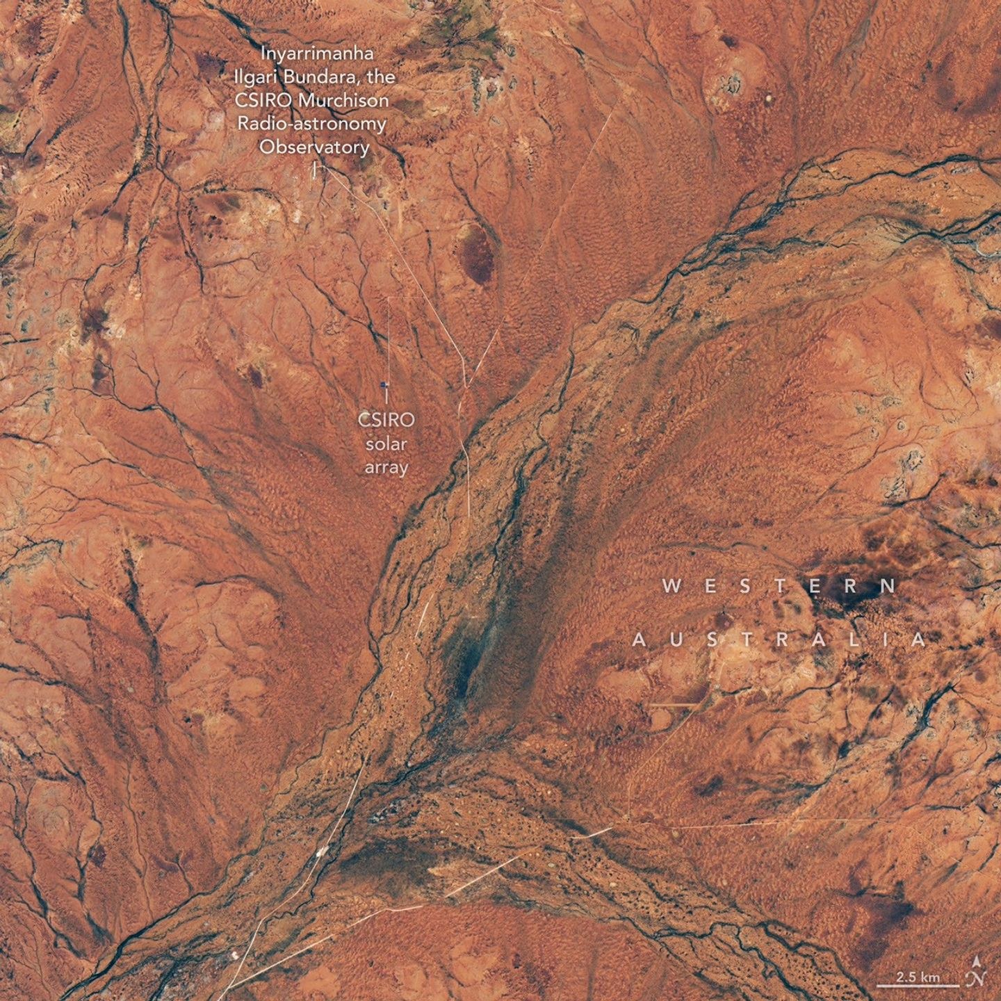 Branching riverbeds and roads cut through rusty orange land in the Western Australian outback.
